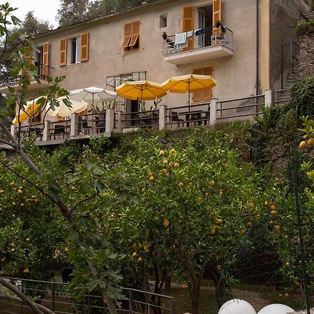 La Casa Dei Limoni Hotel มอนเตรอสโซ อัล มาเร ภายนอก รูปภาพ