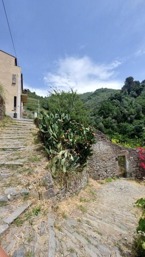 La Casa Dei Limoni Hotel มอนเตรอสโซ อัล มาเร ภายนอก รูปภาพ